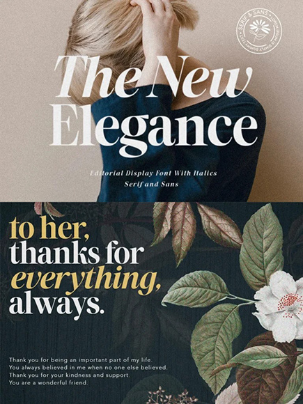 шрифт The New Elegance